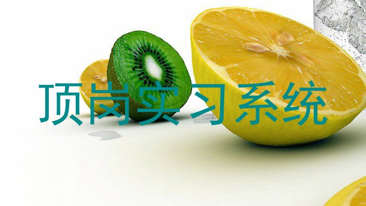 顶岗实习系统
