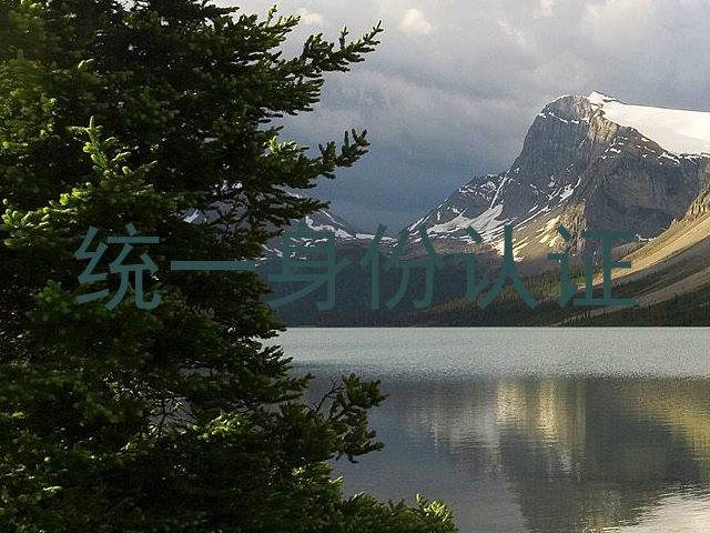 统一身份认证