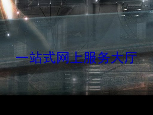 一站式网上服务大厅