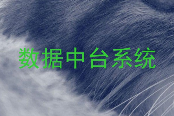 数据中台系统
