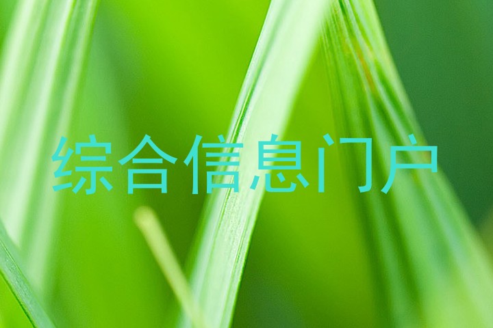 综合信息门户