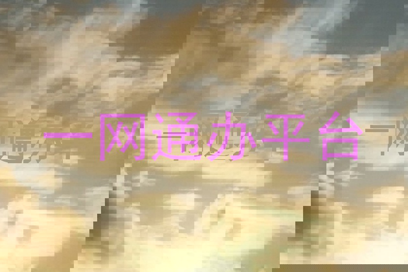 一网通办平台