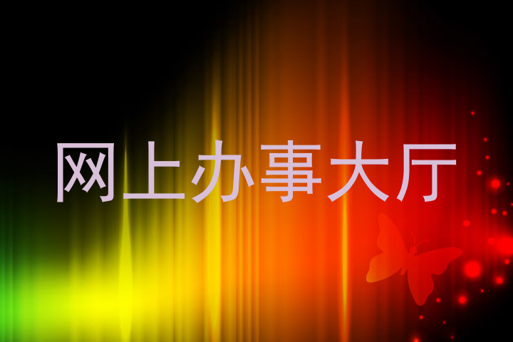 网上办事大厅