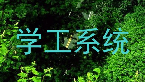 学工系统