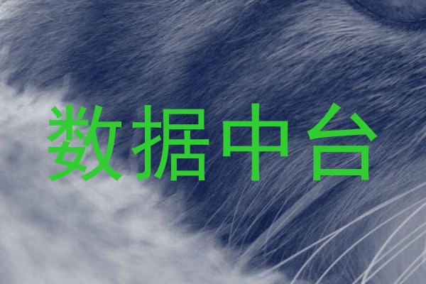 数据中台