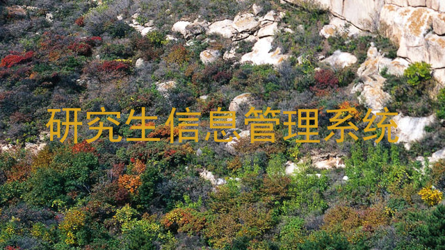 研究生信息管理系统