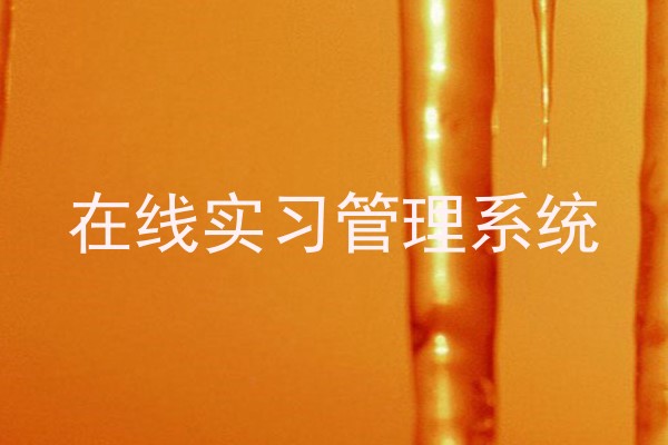 在线实习管理系统