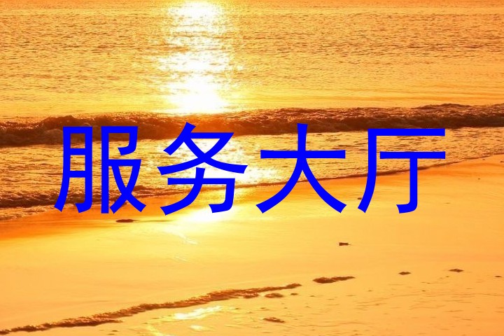 服务大厅