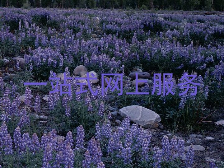 一站式网上服务