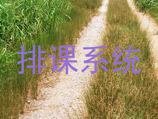排课系统