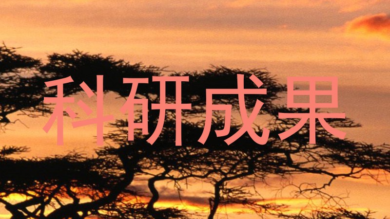科研成果