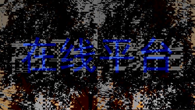 在线平台