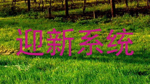 迎新系统