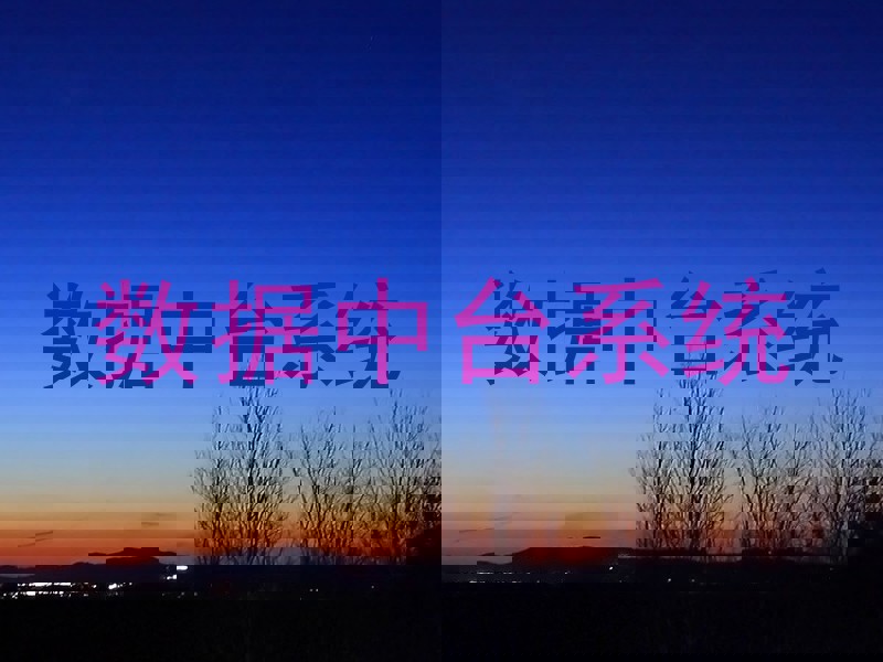 数据中台系统