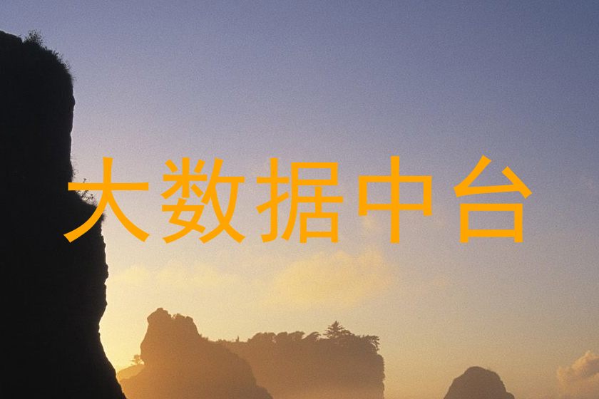 大数据中台