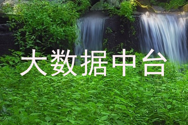 大数据中台