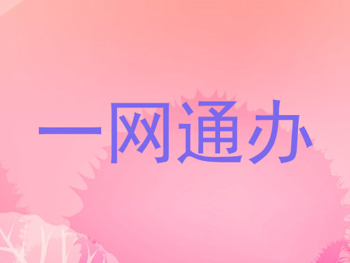 一网通办