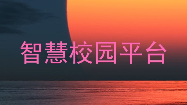 智慧校园平台