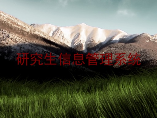 研究生信息管理系统