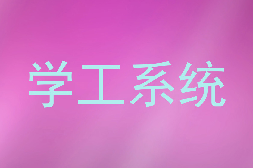 学工系统