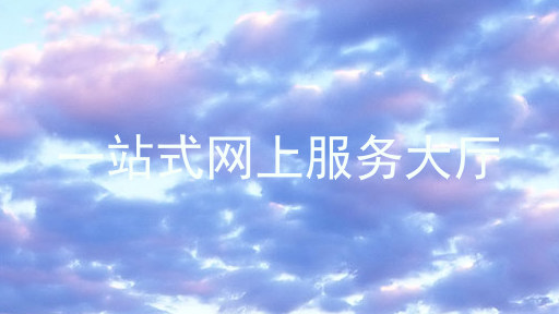 一站式网上服务大厅