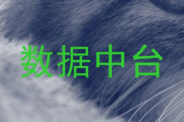 数据中台