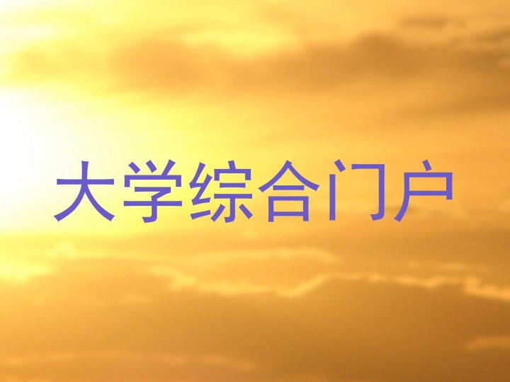 大学综合门户