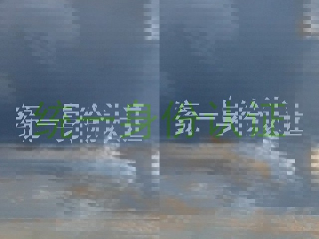 统一身份认证