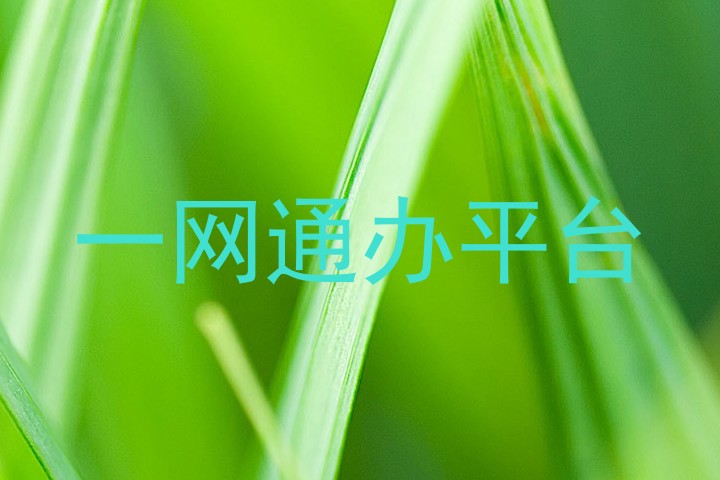 一网通办平台