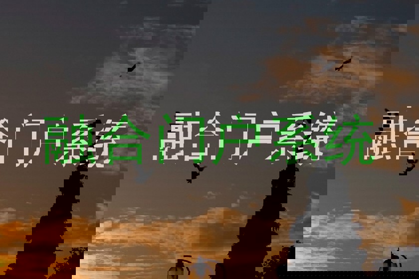 融合门户系统