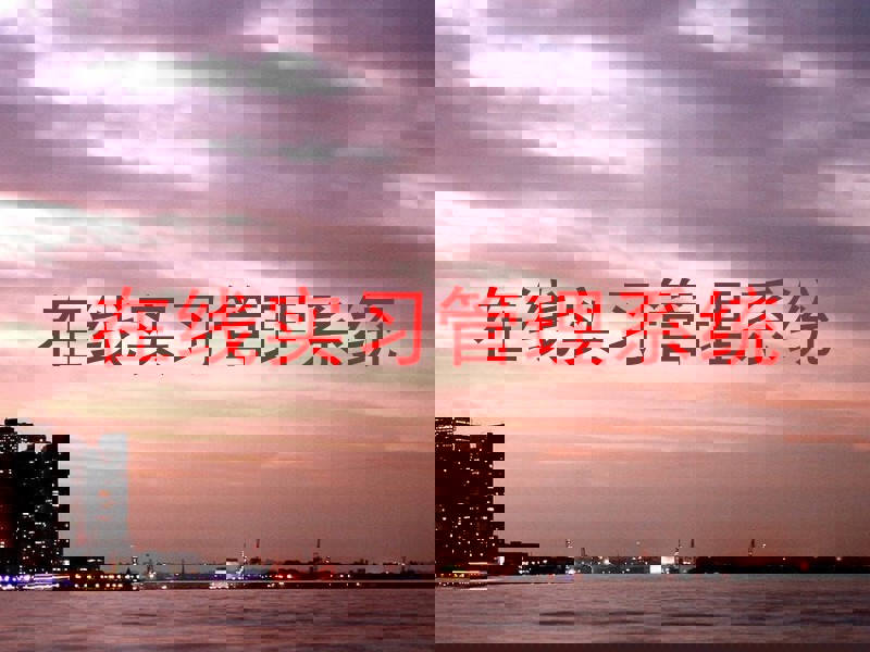 在线实习管理系统