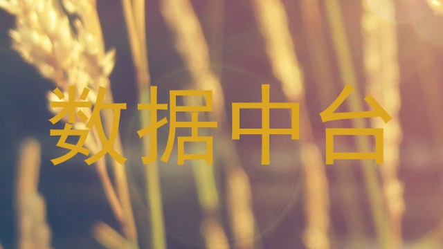 数据中台