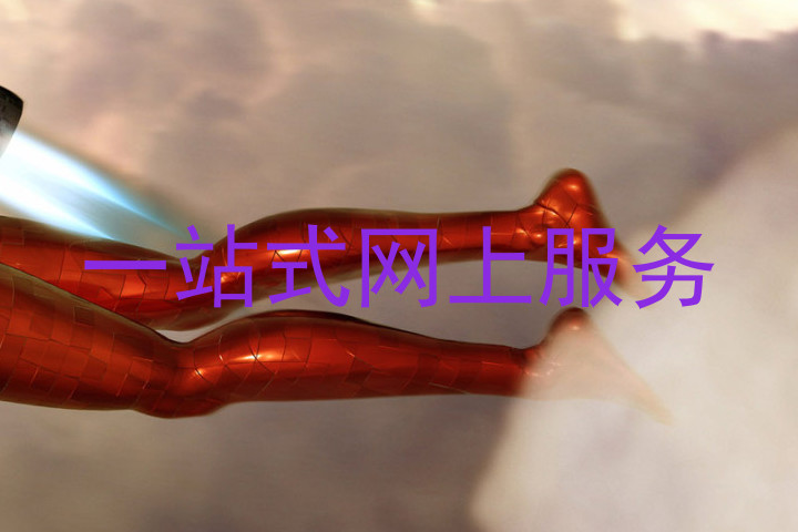 一站式网上服务