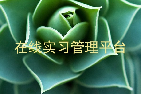 在线实习管理平台