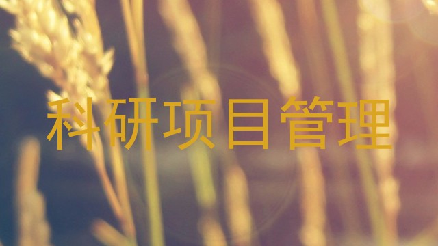 科研项目管理