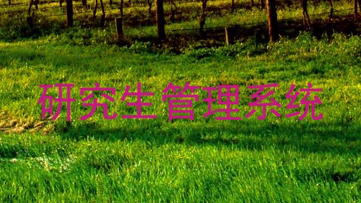 研究生管理系统