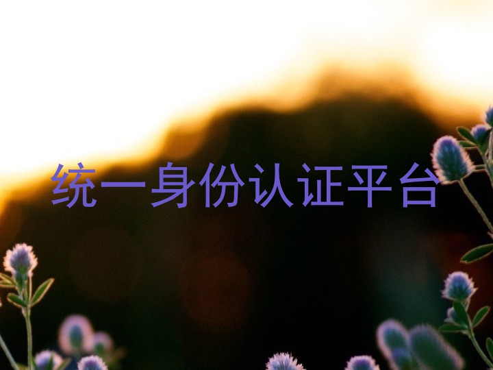 统一身份认证平台
