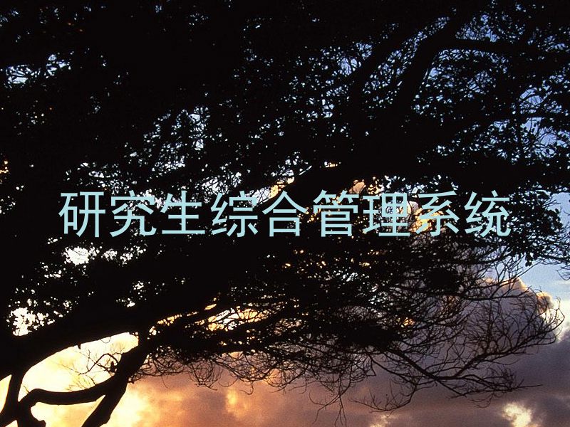 研究生综合管理系统