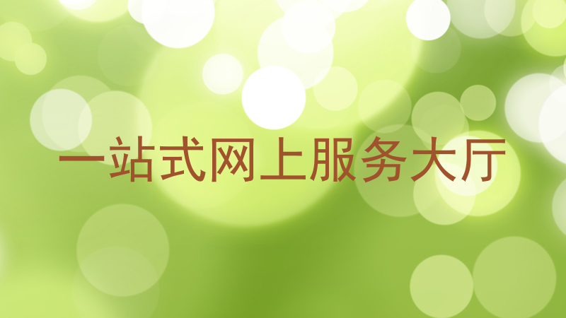 一站式网上服务大厅