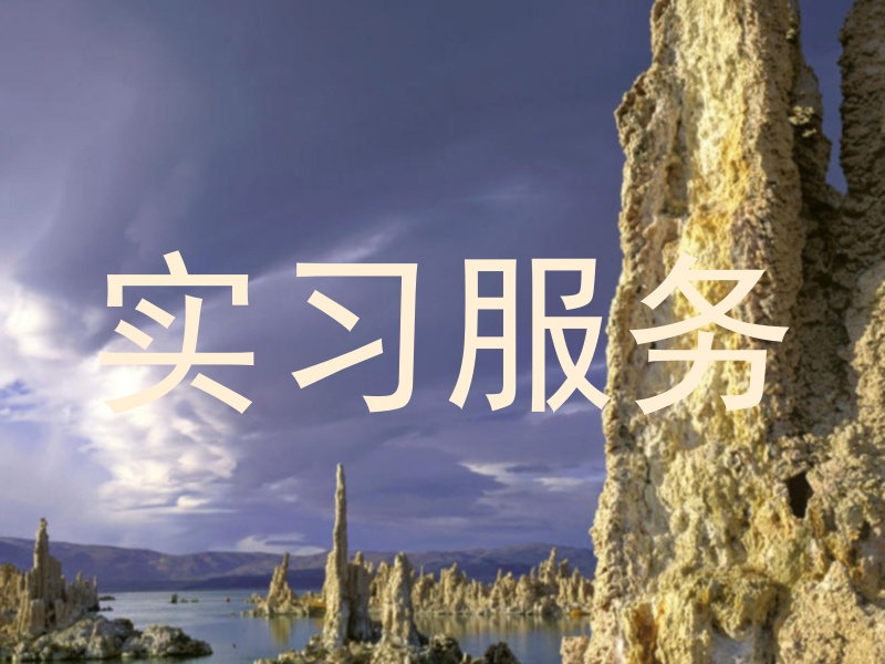 实习服务