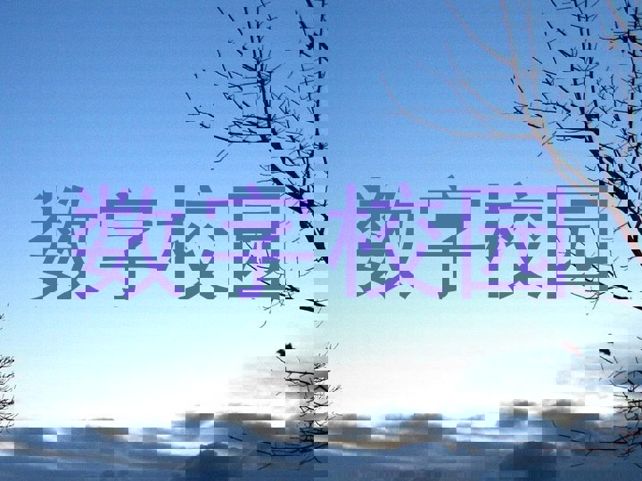 数字校园