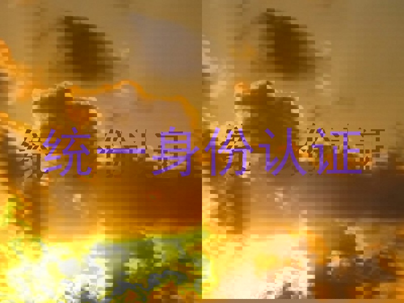 统一身份认证