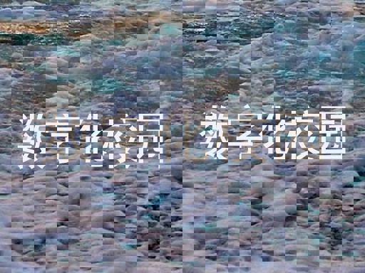 数字化校园