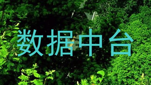 数据中台