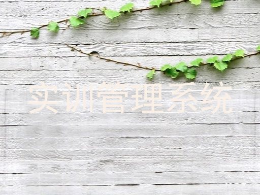 实训管理系统