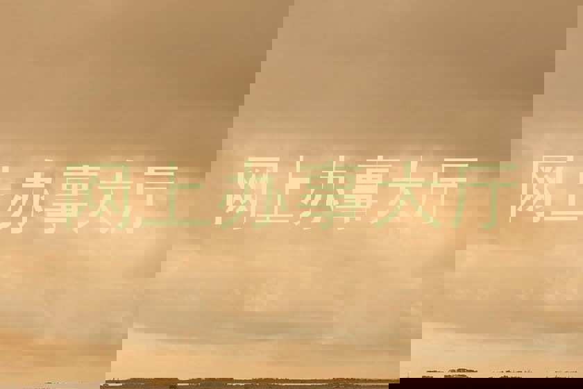 网上办事大厅