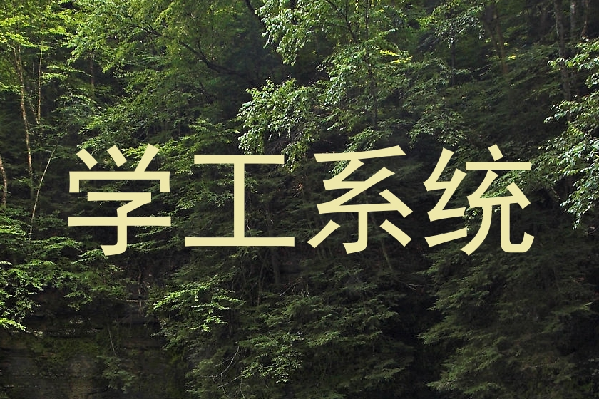 学工系统