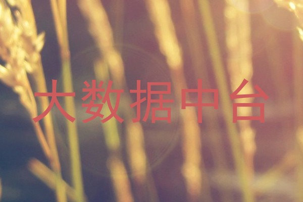 大数据中台