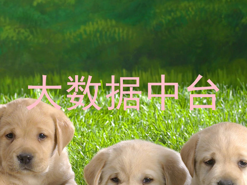 大数据中台