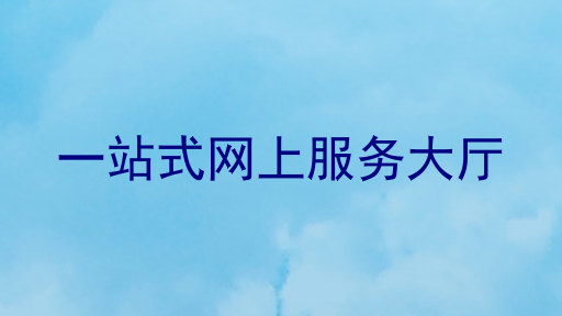 一站式网上服务大厅
